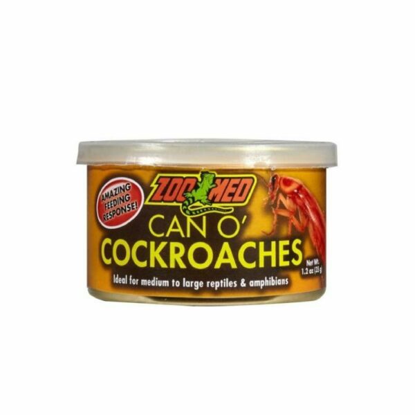 Can O Cockroaches【美國櫻桃蟑螂罐頭】